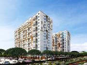 Manjari Khurd 1 BHK Apartment For Sale Pune