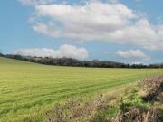Manor Farm Paddock, Wanborough, Land For Sale