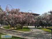 Mansarda arredata Fiera, firenze, sempione, paolo...