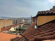 Mansarda MONOLOCALE in affitto a Torino To