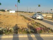Mansha Orchid 155 Sq.Yd. Plot in Sector 110 Faridabad...