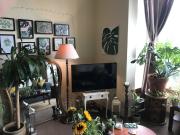 Mansion Flat Ls6 15 th Sept £895 p m Post Grad