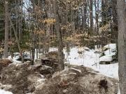 Map Route Lot,albany, Plot For Sale