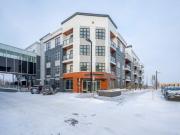 MAPLE #217, 383 Smith Street