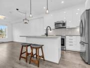 Maple Ridge 1 bed Apt for rent