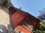 MARATHON / RODRIGO DE ARAYA