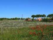 Maraussan 34370 Programme neuf terrain neuf à vendre