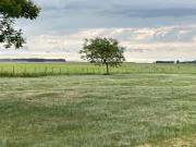 Maravilha de fazenda com 720 hÃ¡produtiva com renda,...