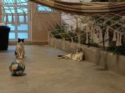 Maravilhosa Casa Térrea de esquina em Condomínio Fechado