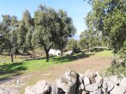 Maravilhosa Fazenda Orgânica com área de 56.750m²....