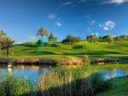 Maravilhoso e Acolhedor Apartamento T1, Perto do Pestana...