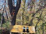 Maravilloso terreno en venta en Vilches Alto. 0.9 hás