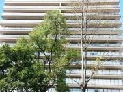 Maravilloso y exclusivo Departamento en San Ángel Tlacopac