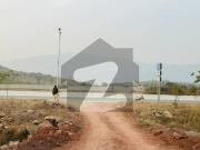 Margalla face plot at investor price