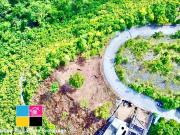 Maria Luisa Subdivision For Sale Lot Only Cebu City