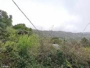 Marin, MILL VALLEY, CA 94941