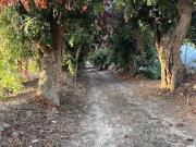 Marina di Ragusa 13 vani 564mq