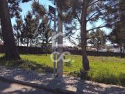 Marinha Grande Leiria 54300411
