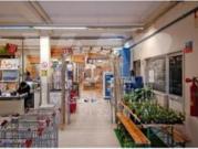 Marinha Grande Marinha Grande 83591920