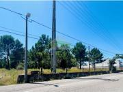 Marinha Grande Marinha Grande 87067883