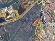 Marinha ’Saveiro do Canto’ em Aveiro