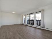Market Green Apartments 1 Bedroom Apartment for Rent at...