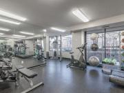 Marlowe VA Evergreen + Den Renovated