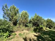 Marquay Vente Terrain 24