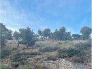 Marseille 8 Location Appartement 13