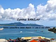 Martinique Vente Appartement 97