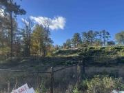 Martinwood Ln Lot,birmingham, Plot For Sale