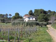 Mas 4 pièces 120 m²