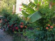 Mas Cévenol là où la pierre rencontre la douceur de vivre Mas Cévenol là où la pierre rencontre la douceur de vivre