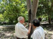 Más de 5ha en venta en la Reserva Cuxtal, ideal para...