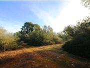 más de 60000m2 de terreno a 5 minutos de Campos