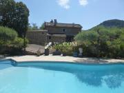 Mas de caractère en pierre avec piscine