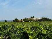 Mas Provençal à rénover sur 11 ha Drôme Provençale