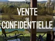 Mas provençal du 14e siècle 552m² Fayence