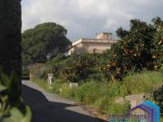 Mascali 12 vani 450mq