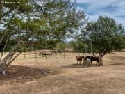 Masia completamente reformada en el Baix Emporda