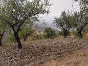 Masía en venta en Albuñol. SE VENDE CASA CON CUATRO...