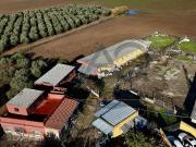 Masía en venta en Alcalá de Guadaira, Centro. FINCA EN...