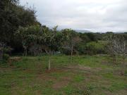 Masía en venta en Barrios Los. CASA DE CAMPO EN LOS...