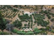 Masía en venta en Alcaucín. Venta, Casa de campo,...