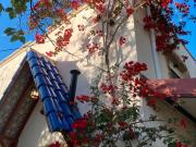 Masía en venta en Alguazas. Masías.