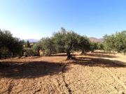 Masía en venta en Alhaurín el Grande, Centro. Casa de...