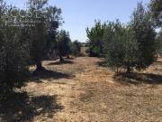 Masía en venta en Almonte, Almonte. Venta de finca en...