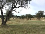 Masía en venta en Almonte, Almonte. Venta de finca EN...