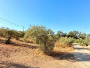 Masía en venta en Álora. Casa de campo en Alora. Masías.