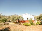 Masía en venta en Álora. PRECIOSA FINCA CON AFO Y... Masía en venta en Álora. PRECIOSA FINCA CON AFO Y...